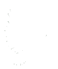 dove.png